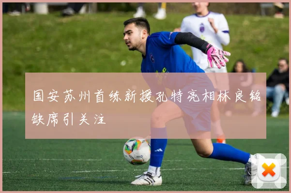 国安苏州首练新援孔特亮相林良铭缺席引关注