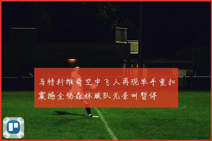 马特科维奇空中飞人再现单手重扣震撼全场森林狼队无奈叫暂停
