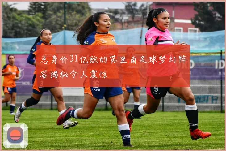 总身价31亿欧的苏里南足球梦幻阵容揭秘令人震惊