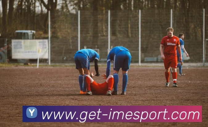 IM电竞APP 封面图